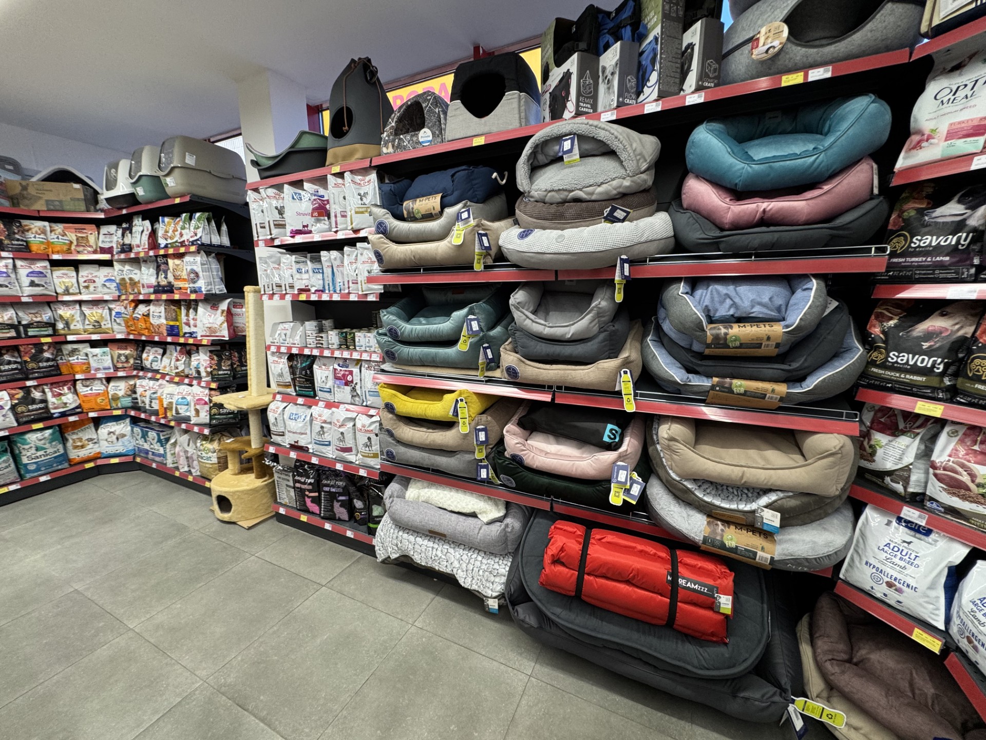 Thumbnail img 2849 (1)